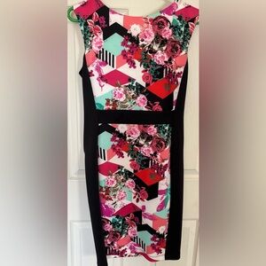 Bisou Bisou Red Pink Sheath Dress for Cocktail